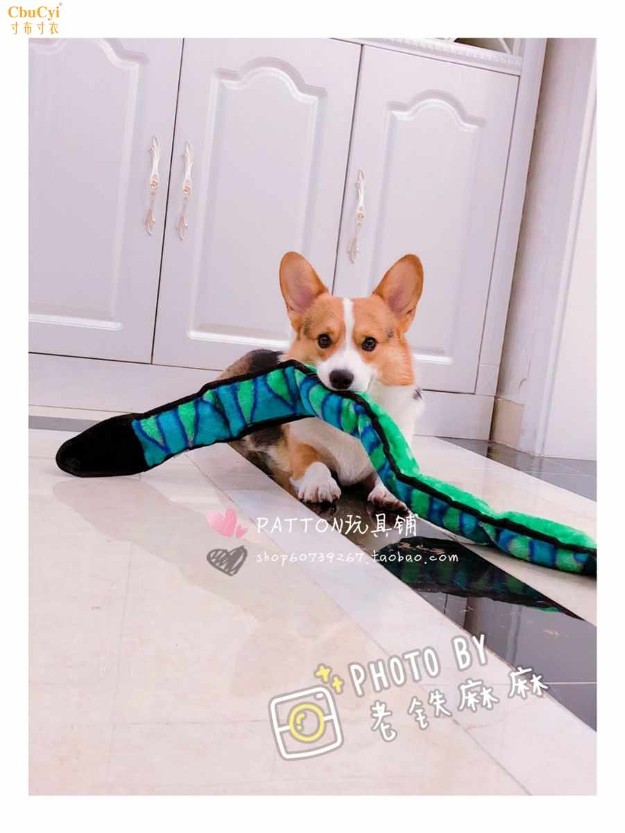 Careful to buy!Dogs Play Plush Vocalization Toys interaction Pull How Fun Corgi Shiba Inuin the Pet/Pet food and supplies , Cat/Dog Toys , Sound toys category - from Buy2taobao.com to provide professional Taobao agent buy service