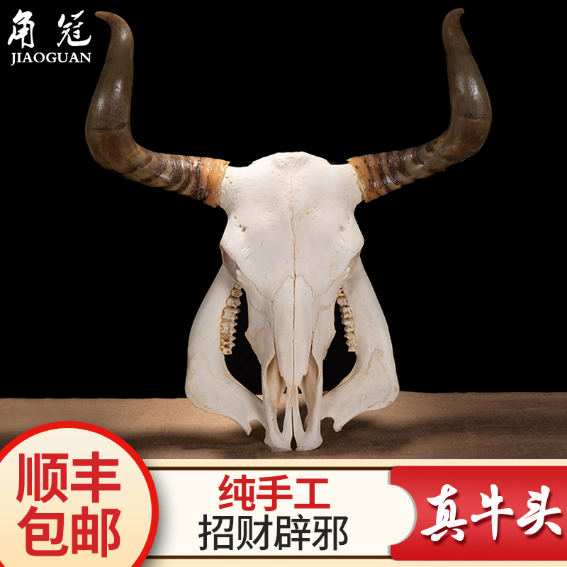 skull Arts and Crafts Yak skull ornament Sheep skull specimen characteristic manual Wall hanging Tauin the Arts and crafts , Minority handicrafts , Tibetan characteristics , Other category - from Buy2taobao.com to provide professional Taobao agent buy service