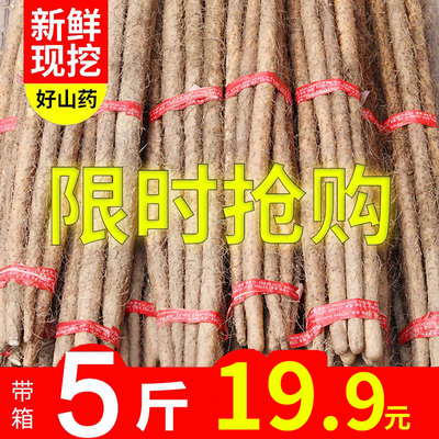 铁棍山药淮山河南焦作温县铁杆怀山约新鲜山药5斤装新鲜麻山药