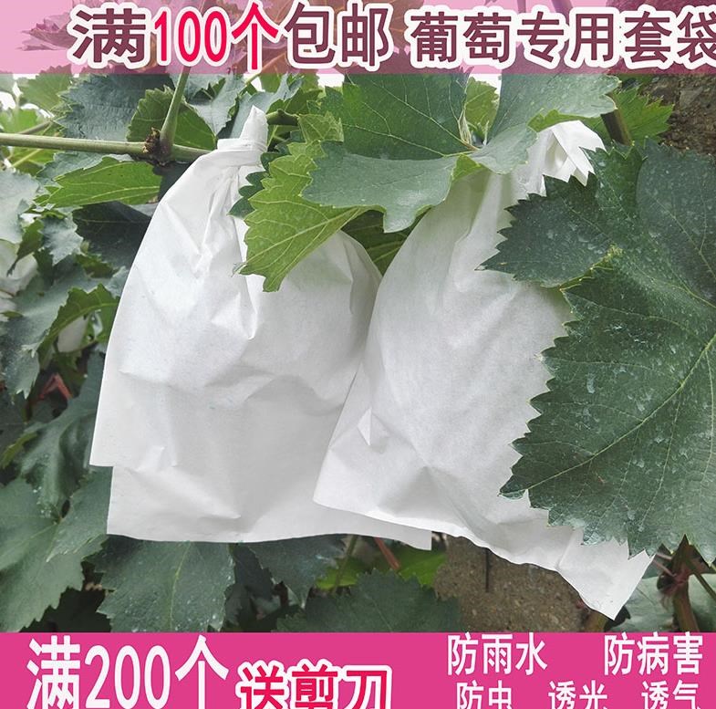包装树上套袋透气果树果子袋家用水果防虫防病防果蝇葡萄纸袋子在类目 鲜花速递/花卉仿真/绿植园艺, 园艺用品, 其它园艺用品中 - 来自Buy2taobao.com提供专业的淘宝代购服务