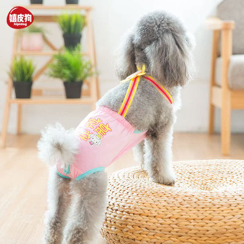 straps Pets Physiological pants Dogs Menstrual pants Teddy Bichon Little bitch Health pants Dog briefs Safety trousersin the Pet/Pet food and supplies , Pet apparel and accessories , Physiological pants category - from Buy2taobao.com to provide professional Taobao agent buy service