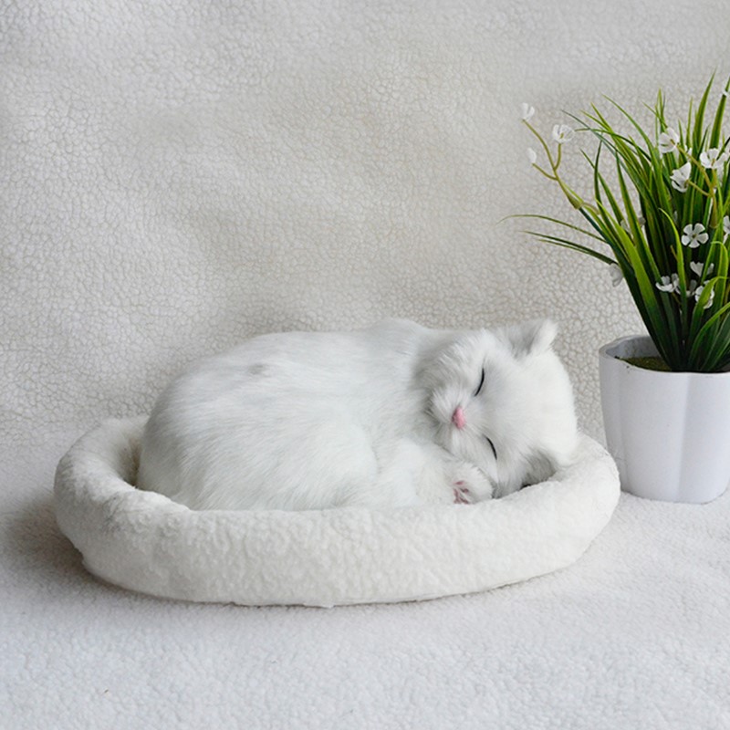 布偶玩偶假会呼吸的小猫咪毛绒玩具仿真模型可猫猫动物摆件在类目 玩具/童车/益智/积木/模型, 仿真/过家家玩具, 仿真/动物玩偶中 - 来自Buy2taobao.com提供专业的淘宝代购服务