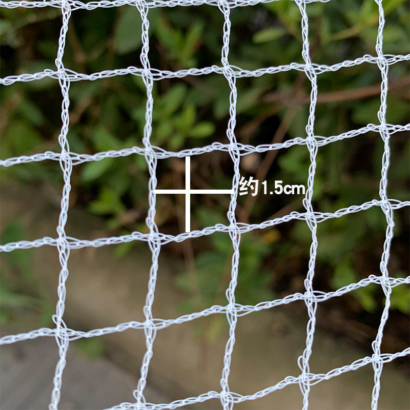balcony Anti-bird netting Orchard Anti-bird netting Garden Fruit tree Anti-bird netting household outdoors Tomatoes Bird Orchard Birdin the Flower delivery/Flowers simulation/Plants gardening , Gardening supplies , Other Garden Supplies category - from Buy2taobao.com to provide professional Taobao agent buy service