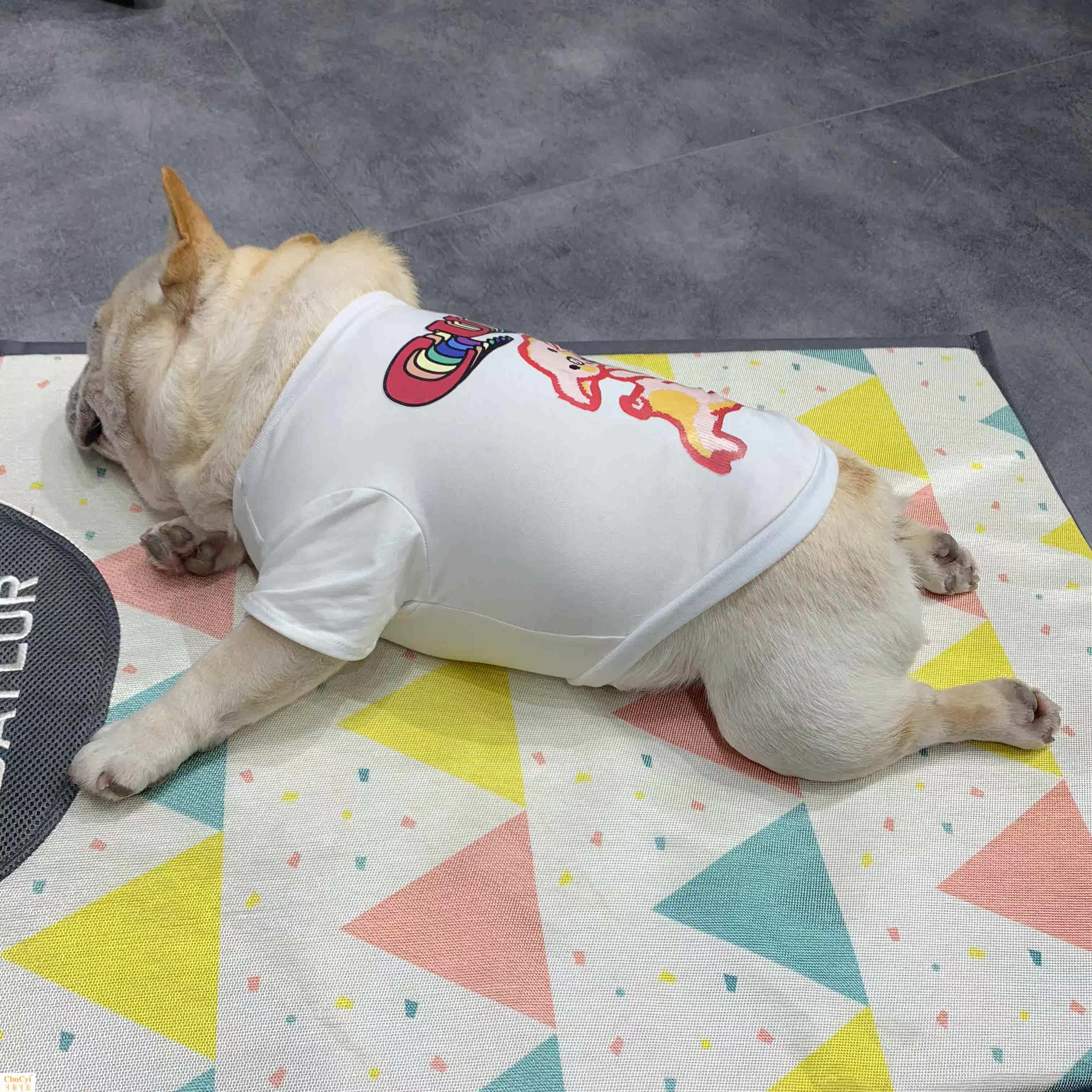 法国斗牛犬春秋季T恤 宠物狗狗衣服 小型犬巴哥 英斗 胖狗服在类目 宠物/宠物食品及用品, 宠物服饰及配件, 宠物服装/雨衣中 - 来自Buy2taobao.com提供专业的淘宝代购服务