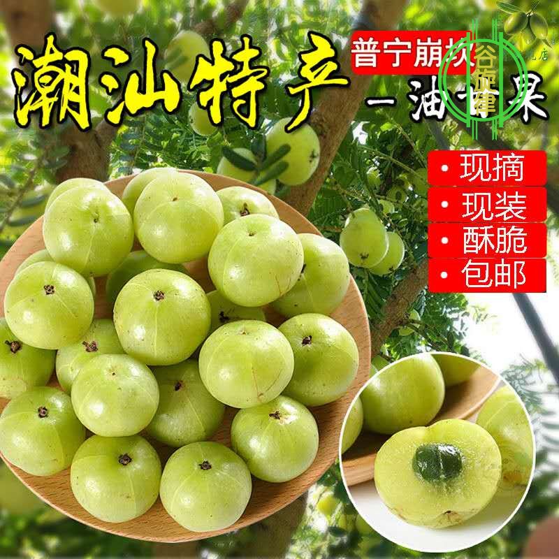 七月发 广东新鲜油甘果孕妇水果 净重450g酥脆可口在类目 水产肉类/新鲜蔬果/熟食, 新鲜水果, 其它中 - 来自Buy2taobao.com提供专业的淘宝代购服务