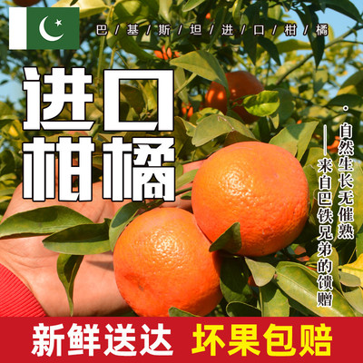 新鲜海外进口巴基斯坦甜桔子大橘保甜大柑橘桔子家庭含包装5斤