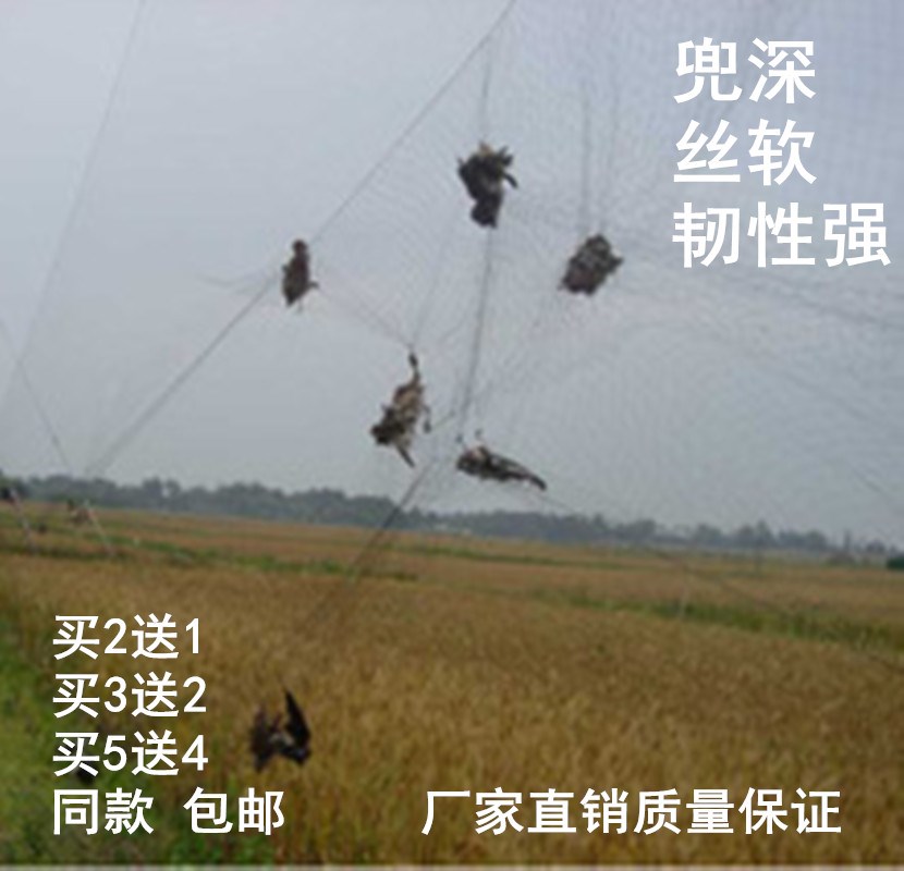 果树防专网尼龙扑捕抓鸟网粘网新款麻雀网画眉鸟网沾网户外用斑鸠在类目 鲜花速递/花卉仿真/绿植园艺, 园艺用品, 其它园艺用品中 - 来自Buy2taobao.com提供专业的淘宝代购服务
