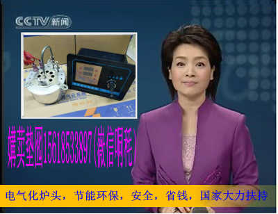 生物醇油环保电子气化灶智能电脑控制器醇基燃料50精醇炉头厂直销在类目 五金/工具, 机械五金, 炉头中 - 来自Buy2taobao.com提供专业的淘宝代购服务