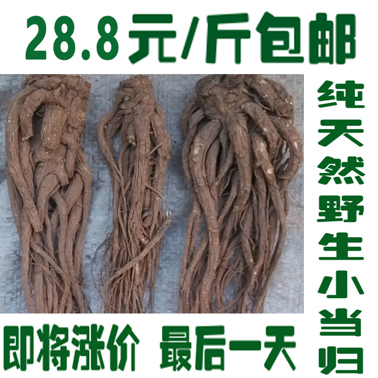 甘肃岷县天然纯野生小当归28.8元/500克包邮全当归片当归粉批 发|ruв категории традиционные питательный пища, другие традиционные тоник, Анжелика - от Buy2taobao.com для оказания профессиональной услуги покупки агента Taobao