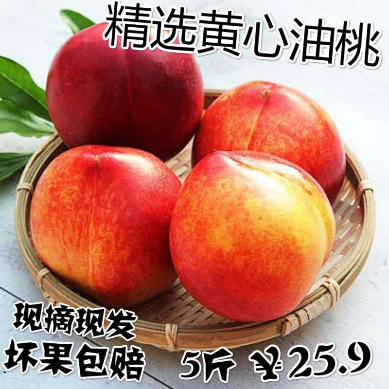 【现摘现发】黄心油桃新鲜5斤现季直批整箱4现货桃子5月应季水果在类目 水产肉类/新鲜蔬果/熟食, 新鲜水果, 桃中 - 来自Buy2taobao.com提供专业的淘宝代购服务