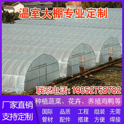 热镀锌种植养花蔬菜养殖农业简易温室连体连栋大棚骨架钢管625825