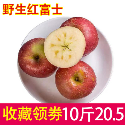 应季红富士苹果脆甜新鲜水果当季果陕西野生丑苹果冰糖心10斤整箱
