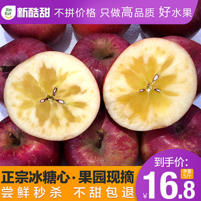 新酷甜|云南昭通冰糖心丑苹果10斤应季野生大果红富士非阿克苏