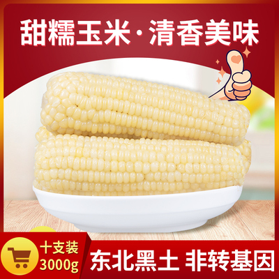 淘缘明 寒地黑土东北甜糯白玉米10根共3000g新鲜苞米鲜食玉米包邮