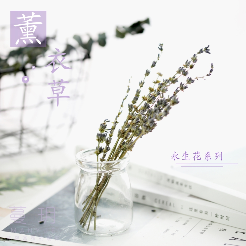 蔓玥 DIY香薰蜡烛 薰衣草干花 手工制作材料干花 永生花五根装|ruв категории Домашний быт, ваза/цветок/искусственные цветы/моделирование украшения, сушеные цветы/лепесток/сушеные цветы пакет/сухие ветки - от Buy2taobao.com для оказания профессиональной услуги покупки агента Taobao