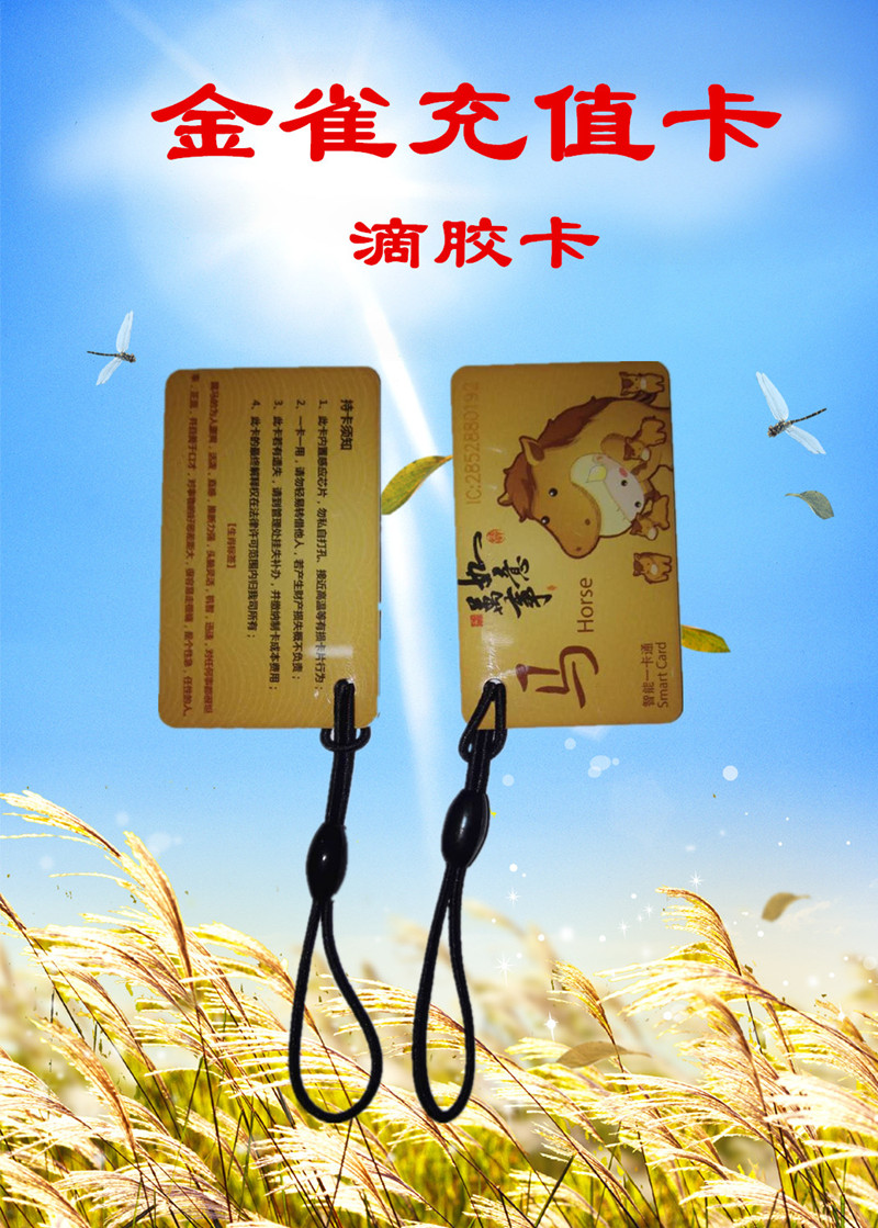 金雀電動車充電插座充電樁充電站用充值卡在類目 電子/電工, 智能家居系統, 樓宇智能系統, 門禁智能卡中 - 來自Buy2taobao.com提供專業的淘寶代購服務