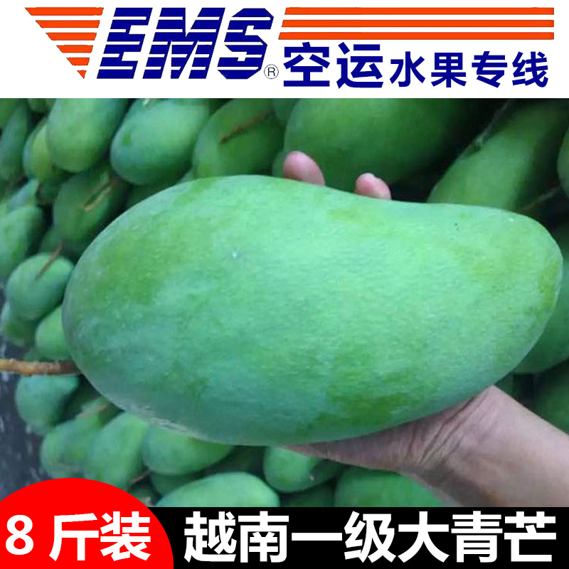 EMS空运包邮越南大青芒果新鲜非凯特芒8斤装非10斤|ruв категории водной мясо/свежие фрукты и овощи/еда, свежие фрукты, манго - от Buy2taobao.com для оказания профессиональной услуги покупки агента Taobao