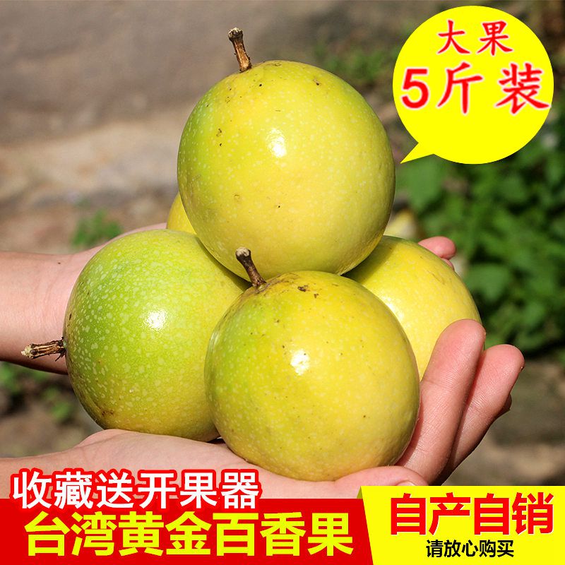 黄金百香果5斤 现摘新鲜孕妇水果鸡蛋果非红皮百香果西番莲10包邮|msdalam kategori daging perikanan/Buah-buahan segar dan sayur-sayuran/dimasak, buah-buahan segar, Passion Fruit - dari Buy2taobao.com untuk memberikan perkhidmatan ejen Taobao profesional membeli