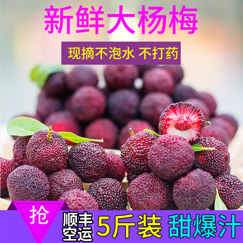 顺丰空运现摘新鲜浮宫杨梅5斤装 现货福建杨梅非仙居东魁冰冻杨梅|msdalam kategori daging perikanan/Buah-buahan segar dan sayur-sayuran/dimasak, buah-buahan segar, lain - dari Buy2taobao.com untuk memberikan perkhidmatan ejen Taobao profesional membeli