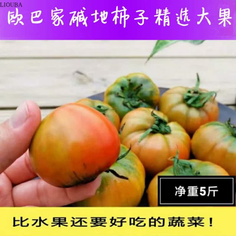 盘锦碱地柿子草莓柿子绿腚西红柿鹰爪铁皮柿子新鲜孕妇水果番茄在类目 水产肉类/新鲜蔬果/熟食, 新鲜蔬菜/蔬菜制品, 新鲜蔬菜, 番茄中 - 来自Buy2taobao.com提供专业的淘宝代购服务
