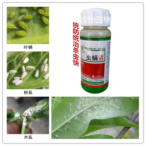 琳海植保虫螨清杀虫剂蚜虫叶阐飞虱青虫夜蛾尺蠖花卉园林植物在类目 鲜花速递/花卉仿真/绿植园艺, 园艺用品, 花卉药剂中 - 来自Buy2taobao.com提供专业的淘宝代购服务