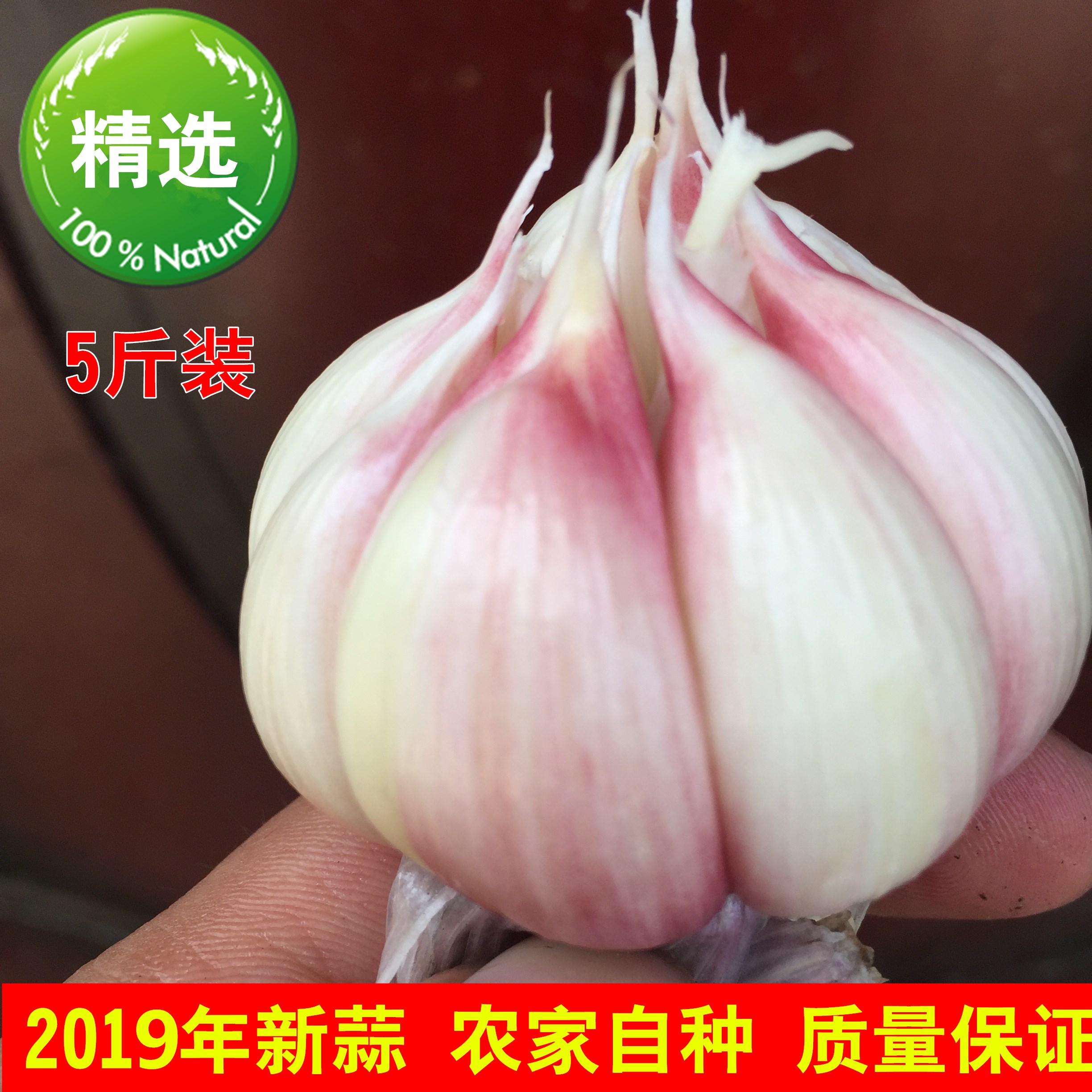 彭城农家现挖新鲜紫皮大蒜新鲜大蒜头低价包邮鲜蒜新蒜头5斤装|ruв категории водной мясо/свежие фрукты и овощи/еда, свежие овощи/овощной продукции, свежие овощи, другие - от Buy2taobao.com для оказания профессиональной услуги покупки агента Taobao