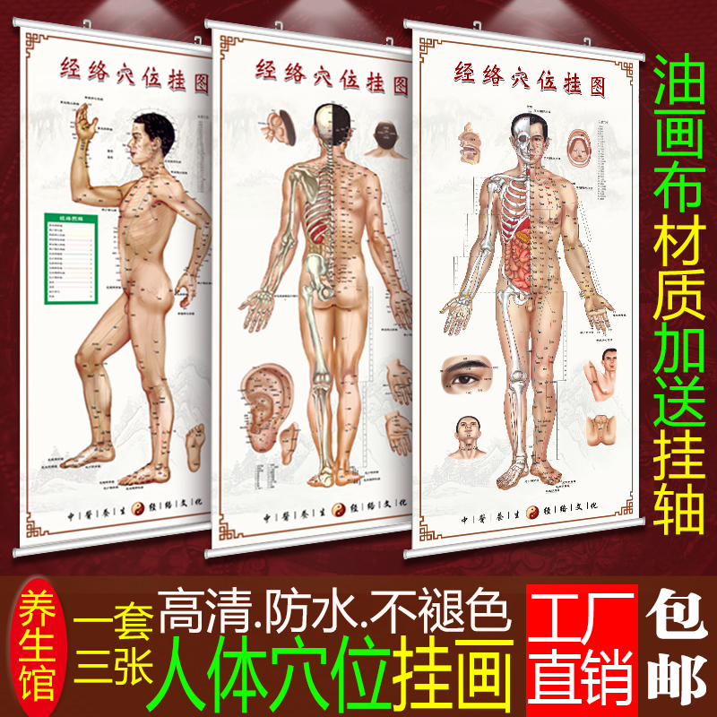 男性针灸艾灸人体经络穴位图大挂图足部全身中医养生保健按摩海报|ruв категории персональные настройки/разработка услуг/DIY, ежедневно/украшения на заказ, портрет/плакат печатных - от Buy2taobao.com для оказания профессиональной услуги покупки агента Taobao