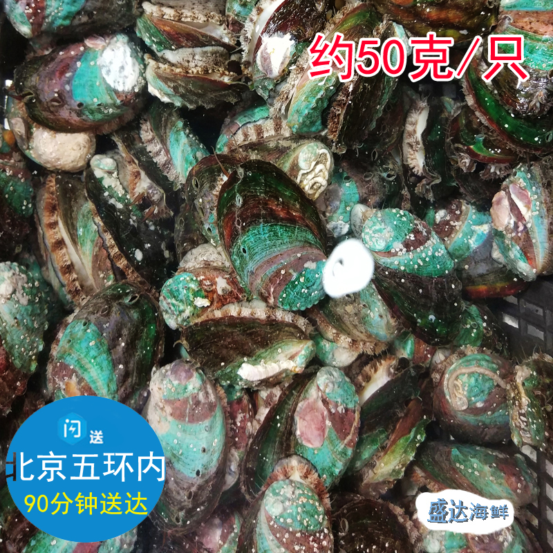 北京闪送 鲍鱼鲜活 海鲜水产包杀好按只售卖50g/只在类目 水产肉类/新鲜蔬果/熟食, 海鲜/水产品/制品, 贝类, 鲍鱼中 - 来自Buy2taobao.com提供专业的淘宝代购服务