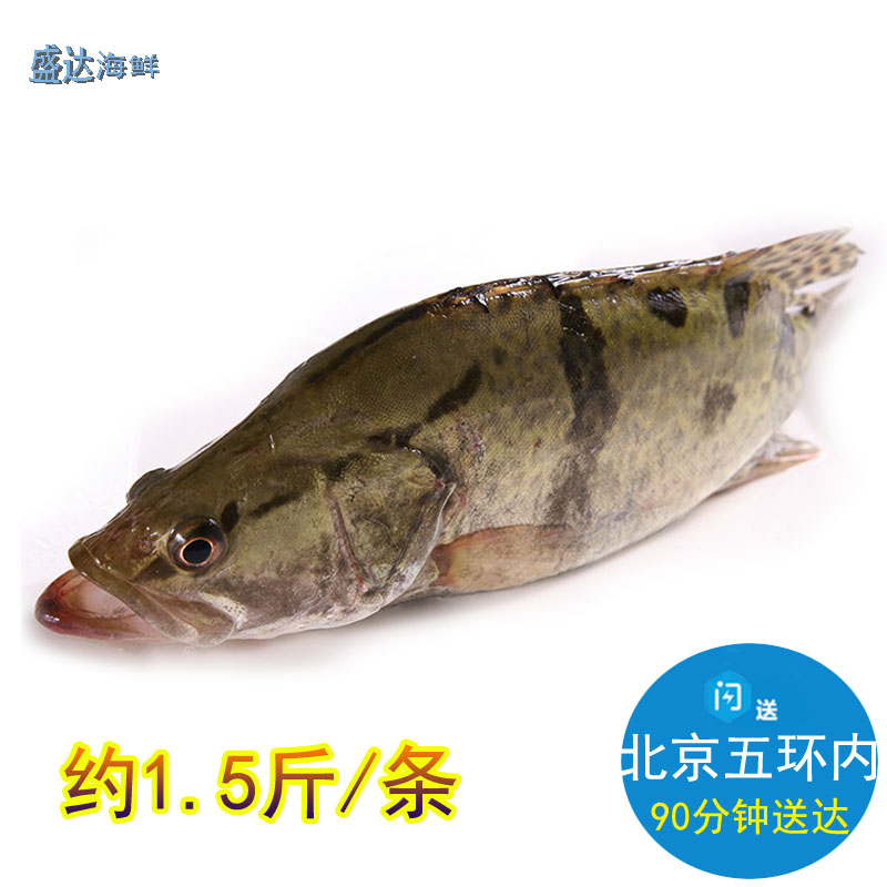 北京闪送 鲜活桂鱼 活体小鳜鱼鳜花鱼海鲜水产包杀好750g/只在类目 水产肉类/新鲜蔬果/熟食, 海鲜/水产品/制品, 淡水鱼类中 - 来自Buy2taobao.com提供专业的淘宝代购服务