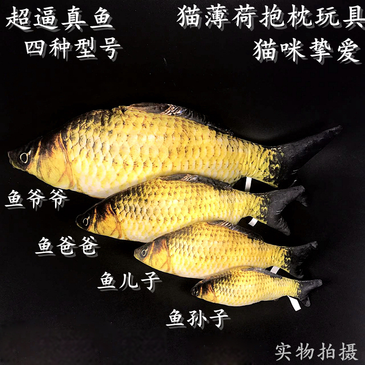宠物玩具 仿真毛绒草鱼 猫咪狗狗犬互动玩具 内含猫薄荷安全环保|msdalam kategori haiwan peliharaan/makanan haiwan dan bekalan, Cat/Mainan anjing, Playset - dari Buy2taobao.com untuk memberikan perkhidmatan ejen Taobao profesional membeli
