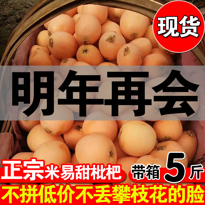 【买一送一】四川攀枝花米易枇杷新鲜中果琵琶果甜水果带箱5斤在类目 水产肉类/新鲜蔬果/熟食, 新鲜水果, 枇杷中 - 来自Buy2taobao.com提供专业的淘宝代购服务
