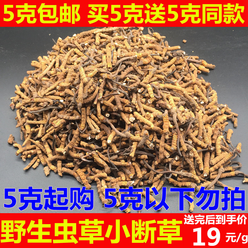 Orthodox school Cordyceps Off the grass Tibet Nagqu Yushu in Qinghai Province Cordyceps Off the grass Buy 5 to send 5 grams.in the Traditional nourishing food , Cordyceps category - from Buy2taobao.com to provide professional Taobao agent buy service