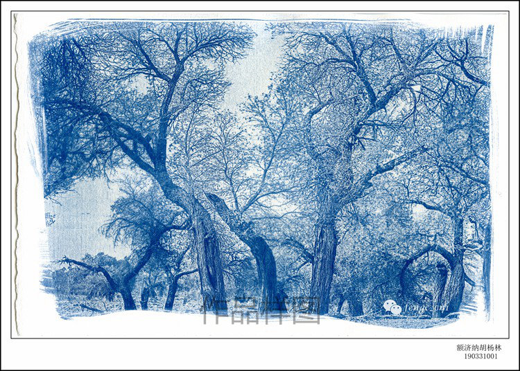 classical Printing Original Photographic works Ejina Populus manual Retro Nostalgic photosin the Home accessories , Photo/Photo Wall , Photo/Picture card category - from Buy2taobao.com to provide professional Taobao agent buy service