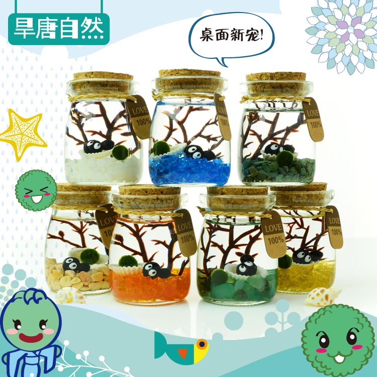 买一送一幸福海藻球微景观生态瓶植物迷你盆栽苔藓微景观办公盆栽在类目 鲜花速递/花卉仿真/绿植园艺, 创意迷你植物中 - 来自Buy2taobao.com提供专业的淘宝代购服务