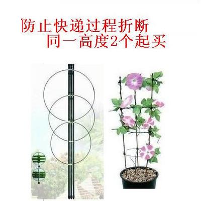 Chinese rose Lily Morning Glory Bracket gardening Climbing frame Clematis Tomato stand Height 2 Promotionin the Flower delivery/Flowers simulation/Plants gardening , Gardening supplies , Other Garden Supplies category - from Buy2taobao.com to provide professional Taobao agent buy service