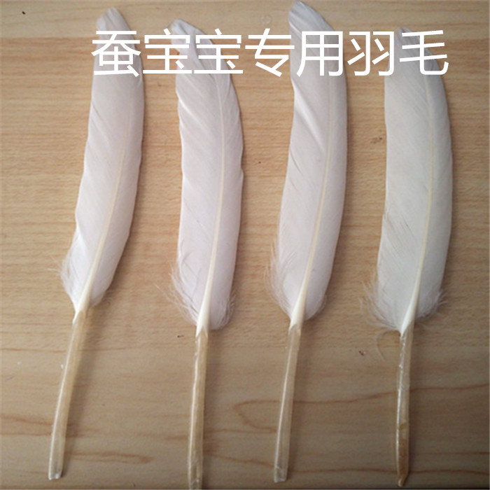 蚕宝宝小蚕蚁蚕 羽毛 养蚕工具 学生养蚕用鹅毛 抓爬虫蚂蚁用品在类目 宠物/宠物食品及用品, 爬虫/鸣虫及其用品, 蚕宝宝中 - 来自Buy2taobao.com提供专业的淘宝代购服务