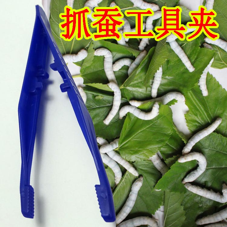 蠶寶寶飼養抓蠶塑料夾 避免用手抓傷小蠶 清結衛生蠶筷子蠶鑷子夾在類目 寵物/寵物食品及用品, 爬蟲/鳴蟲及其用品, 蠶寶寶中 - 來自Buy2taobao.com提供專業的淘寶代購服務