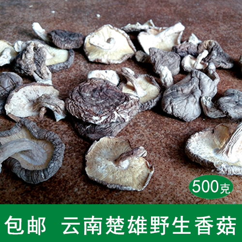 Yunnan Chuxiong wild Basswood mushrooms dried food Yummy Farm Native mushrooms household 500 gramin the Agri rice/Dried foods/Condiment , Dried foods/Meat Dry , Dry/Native , Mushroom category category - from Buy2taobao.com to provide professional Taobao agent buy service