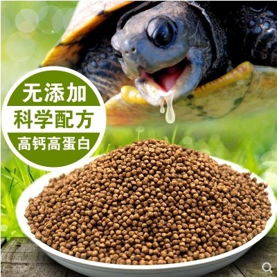 龟粮淡水通用小乌龟粮小虾型500草龟食散装巴西龟散装颗粒干饲料在类目 宠物/宠物食品及用品, 水族世界, 龟/鳖中 - 来自Buy2taobao.com提供专业的淘宝代购服务