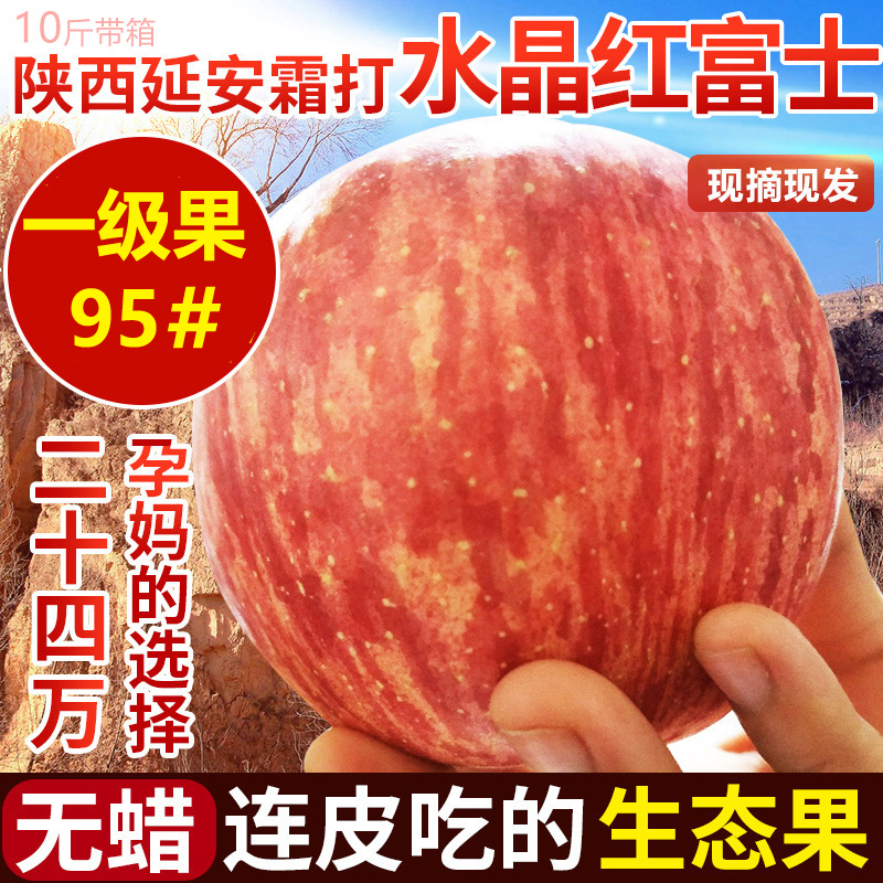 新鲜现摘苹果水果特大陕西红富士10斤带箱批发一箱平果无蜡包邮95|msdalam kategori daging perikanan/Buah-buahan segar dan sayur-sayuran/dimasak, buah-buahan segar, Apple - dari Buy2taobao.com untuk memberikan perkhidmatan ejen Taobao profesional membeli
