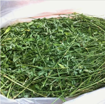 16年紫花苜蓿草兔粮兔草龙猫荷兰猪牧草干草牧草毛重1kg 包邮叶多|ruв категории животное/Животное питание и принадлежностей, зайцеобразные и принадлежностей, сено - от Buy2taobao.com для оказания профессиональной услуги покупки агента Taobao