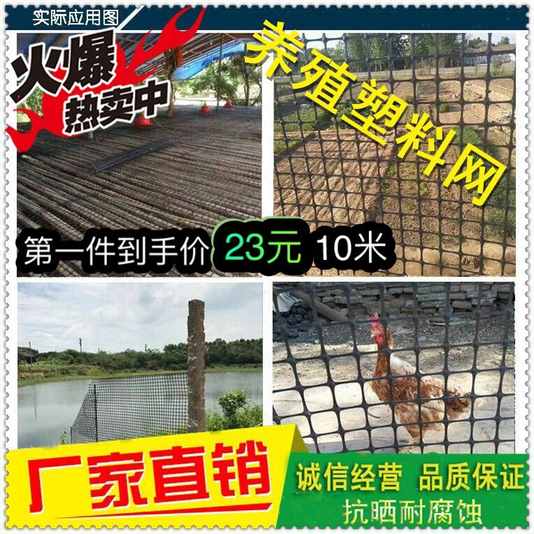 塑料围栏网 鸡鸭鹅养殖网 隔离围栏 塑料网格防护网 家禽围网在类目 五金/工具, 施工保护, 坠落防护, 安全网中 - 来自Buy2taobao.com提供专业的淘宝代购服务