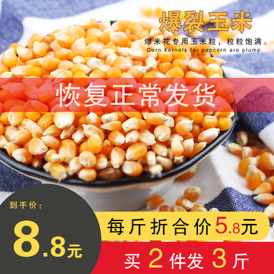 爆花玉米 蝶形爆裂玉米粒 自制爆米花原料 非球形玉米粒 500g包邮