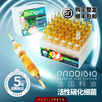 科迪硝化细菌水质稳定剂鱼缸净水剂水族有益菌消化细菌养鱼用品