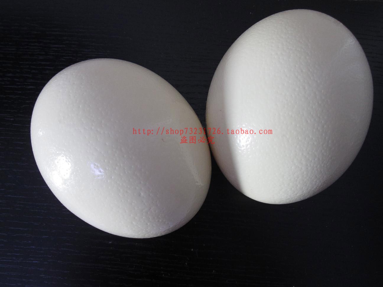天然鴕鳥蛋殼 自家養殖鴕鳥 新蛋殼 蛋雕工藝品雕刻品 保證質量在類目 特色手工藝, 少數民族特色工藝品, 俄羅斯族中 - 來自Buy2taobao.com提供專業的淘寶代購服務