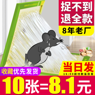 强力粘鼠板捉抓粘老鼠贴驱胶药捕鼠灭鼠器神器克星正品家用一窝端