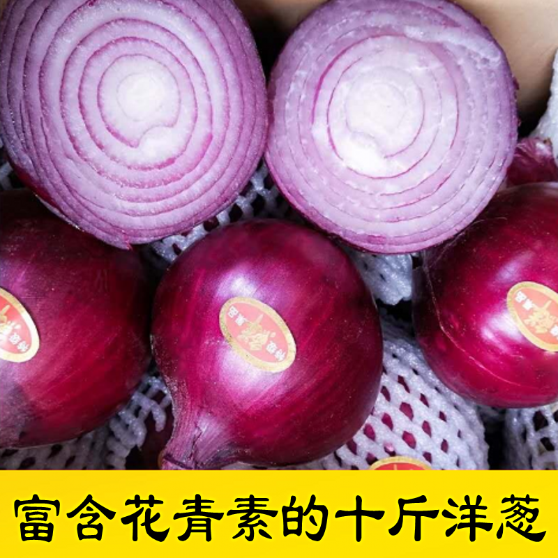 今年新货10斤紫皮洋葱 圆葱头皮牙子拍5斤发带箱10斤洋葱农家包邮|msdalam kategori daging perikanan/Buah-buahan segar dan sayur-sayuran/dimasak, sayur-sayuran segar/Vegetable Products, sayur-sayuran segar, lain - dari Buy2taobao.com untuk memberikan perkhidmatan ejen Taobao profesional membeli