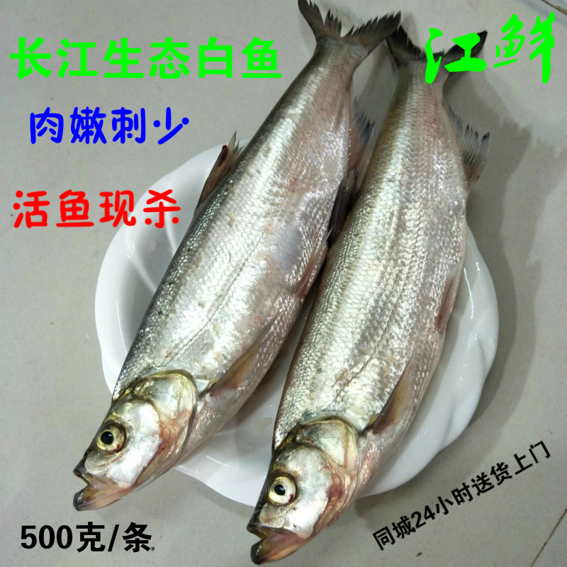 Yangtze White fish Freshwater fish fresh Fresh wild Alburnus Alice mouth In vain Mouth Diao fish Aquatic productsin the Aquatic meat/Fresh fruits and vegetables/Cooked , Seafood/Aquatic/Product , Freshwater Fish category - from Buy2taobao.com to provide professional Taobao agent buy service