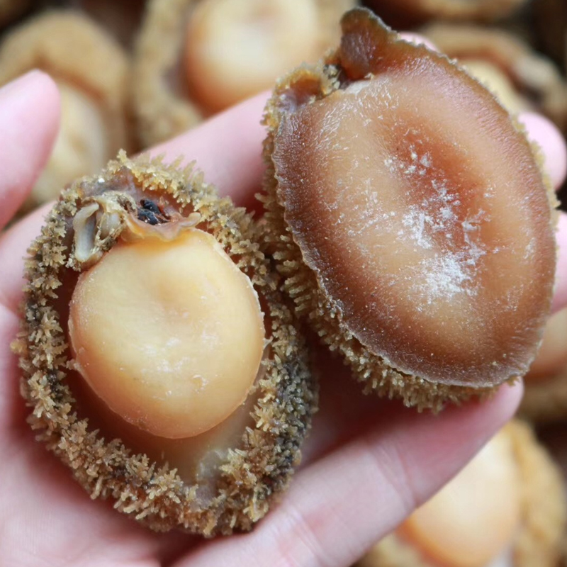 南非幹鮑魚 25頭塘心鮑100g野生特級大網鮑吉品鮑酒店幹貨約5-6只在類目 傳統滋補營養品, 其他傳統滋補品, 傳統滋補品其他中 - 來自Buy2taobao.com提供專業的淘寶代購服務