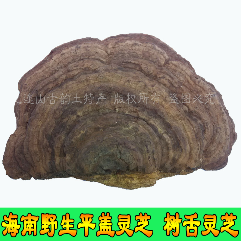 野生平盖灵芝 树舌 扁木灵芝 皂菌耳 青芝 林芝可切灵芝片500克在类目 传统滋补营养品, 灵芝, 整枝灵芝中 - 来自Buy2taobao.com提供专业的淘宝代购服务